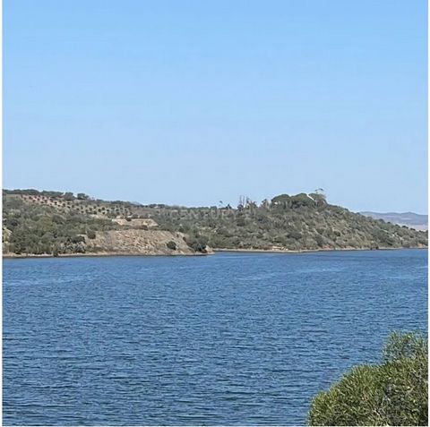 Excellent business opportunity in Pedrogão. Property consisting of two matrix articles 6.1ha + 2.2ha, where you will find cork oak forests, olive trees, eucalyptus and with the end of the Guadiana River. Ideal property for placing cattle, or even for...
