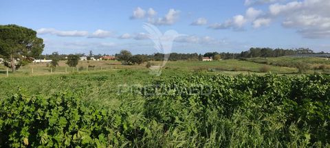 Fantastic rustic land of 7110 m² located in Granho, ideal for those looking for a quiet and natural space. Situated in an area of natural beauty, with plenty of potential. Its location in Granho offers a serene rural environment, with access to natur...
