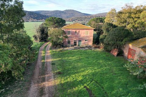 On this splendid spring day, accompanied by the singing of birds, our visit to the Pantanella farm allows us to live for a while in a bucolic context similar to those described by Jane Austin. We are located in the Maremma natural park, a few km from...