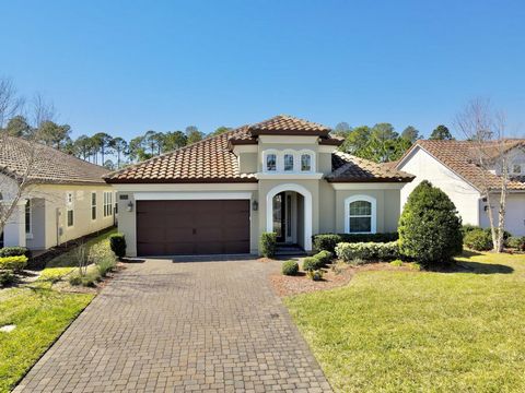 Welcome to luxury living in Jacksonville! This house have open floor plan, where granite countertops adorn a spacious island in the kitchen. The 12ft doors provide a castle like ambiance. The spa like shower and huge walk in closet in the master suit...