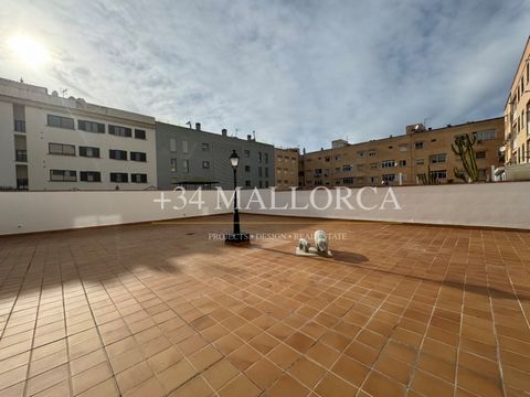 Spacious ground floor flat of 150 m2 on the second line of the GRUTA/ MOLINAR PORTITXOL New kitchen installed on January 15, 2024 New appliances (dishwasher, washing machine, fridge). 4 bedrooms: 4 and a large pantry with 3 bathrooms (one en suite in...
