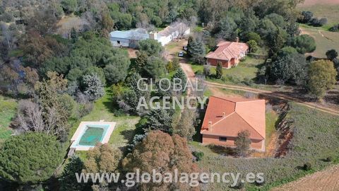 Private valley and forest of 290 hectares with 4 houses and swimming pool. Ideal place to establish a Rural Tourism business. Small game reserve, electricity from the mains, water sounding, several ponds, a lot of water on the farm and a lot of veget...