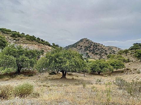 Vente de terrains non bâtis dans le parc naturel de Romerales, El Chorro (Alora) - Caminito del Rey. Ferme en bordure de route, d'une superficie de 16 647 m2, à seulement 3 km du célèbre Caminito del Rey. Une propriété surélevée avec vue dégagée, ave...