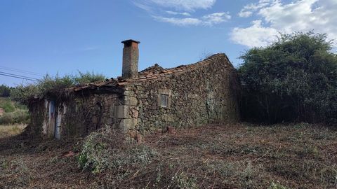 Land with 1.53 ha, located in the village of Alcaide, which is 10 minutes from the city of Fundão and 25 minutes from Covilhã, well known for the existence of the famous Serra da Estrela. Property with arable crops with pear trees, cherry trees, vine...