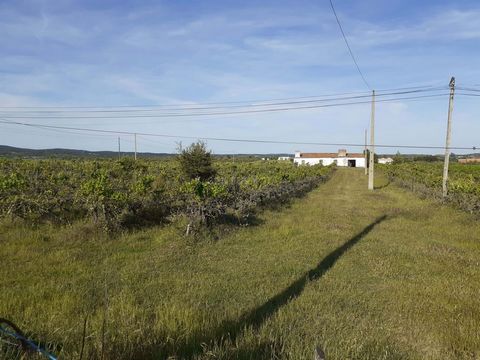 It is a mixed building, which is located in the middle of the Serra D'Ossa road. Very well located about 3 km from Vila de Redondo. Very good access, national road 381. With a total area of about 54,750 m2, fully planted with vines, which are fully c...