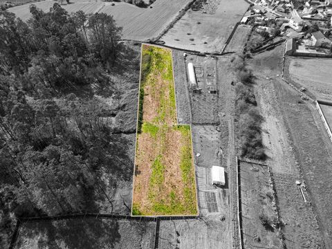 Agricultural land with 4,000 m2 located in the parish of Perelhal, Barcelos. This is located in an area with excellent sun exposure, allowing any type of cultivation or planting. It is next to the residential area, and about 500 meters from the churc...