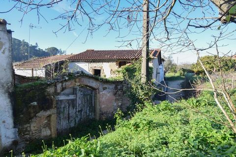 Dans le quartier de Vila Nova de Cernache, un endroit prometteur, il y a une petite maison à reconstruire à vendre en commun avec un terrain à proximité, la maison a déjà une dalle de blocs et des tuiles. et des poutres de soutien dans toute la maiso...