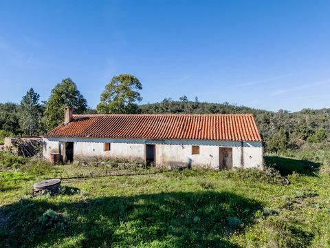 Mixed Property with Ruin in Vale Zorro, São Marcos da Serra Detailed Description: This mixed property, with a total area of 11.70 hectares, offers a unique opportunity to acquire extensive and versatile land in Vale Zorro, São Marcos da Serra. The pr...