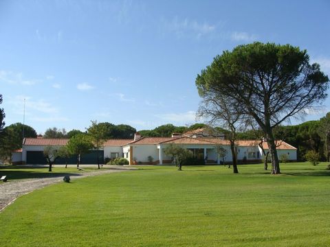 We present you this detached villa situated in the prestigious Mata do Duque I condominium, a golfing and equestrian paradise, a true oasis in the middle of nature. Located in Santo Estevão, about 35 minutes from Lisbon. The property has a total area...