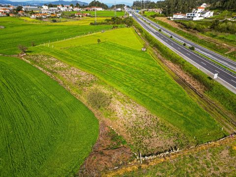 Excellent opportunity for investors and farmers! Located in Alvelos, a parish of Barcelos with a total area of 1386 square meters Characteristics of the land fertile soil suitable for growing various crops abundant water available for irrigation exce...