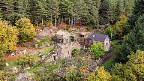 Located in an idyllic setting in the heart of the Cévennes, magnificent set of Mas Cévenols (Main house T3 and two Gites T2) Principal Residence: Large living room with fireplace, opening onto a shaded terrace seducing you with the unobstructed view,...