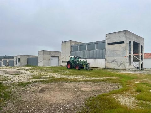 Recent industrial facilities, prepared for a wine cellar or for adaptation to a mill, integrated into a plot of 15,729 m2 (1.7 hectares), within the urban perimeter of the town. The industrial facilities occupy a gross area of 4,701 m2, made up of 4 ...