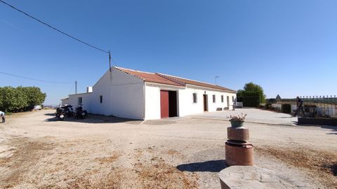 Rustic property in Ronda. The farm has an area of more than one hectare. There are planted olive trees, and fruit trees. The construction has part of the house and a restaurant, at the foot of the road between Ronda and Setenil de las Bodegas. The pl...