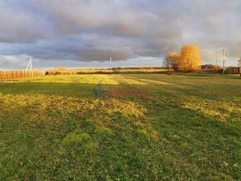 1611270 Предлагается к продаже земельный участок ЛПХ в деревне Хотыницы. Участок прямоугольной формы, ровный, не огорожен, не разработан. Есть возможность подключения электроэнергии. В шаговой доступности чистые пруды с белыми лебедями и утками, дейс...