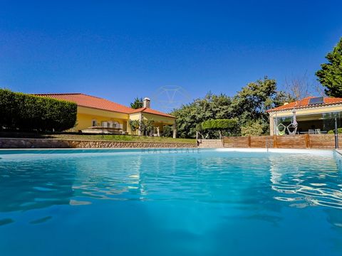 Discover this magnificent Quinta with a 6 bedroom villa, garden and swimming pool, located in an extremely quiet and privileged area, just 5 minutes from the prestigious international school, St. Peter's School. It offers total privacy, stunning view...