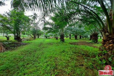 This is a square-shaped land plot located on a corner where the road passes on both sides. The land plot is 2-0-0 Rai, or 3,200 sqm, with the width and depth approximately 60 meters. there are 3-4 year old palm trees on the parcel. Water and electric...