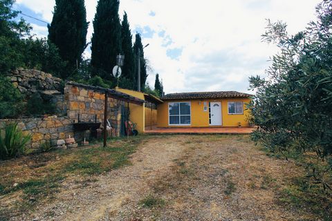 Esta es una oportunidad única para comprar una excelente villa de una sola planta situada en una parcela de 7080 metros cuadrados con impresionantes vistas sobre el campo y el mar. Esta villa consta de una cocina equipada de planta abierta y sala de ...