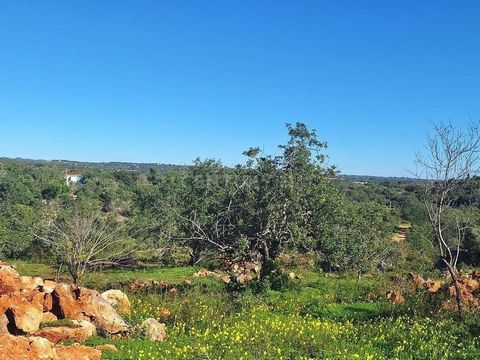 This rustic land, located in the peaceful area of Cerro da Cabeça, offers an excellent opportunity for those seeking a calm and natural environment, with great potential for cultivation or leisure. With a slight incline, the land provides a pleasant ...