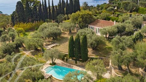 Near Monaco Nestled in Roquebrune's historic landscape, Auriva represents the last vestige of the Grimaldi family's ancient olive groves, a true heritage that honors their legacy. This exquisite estate is home to around 100 carefully tended olive tre...