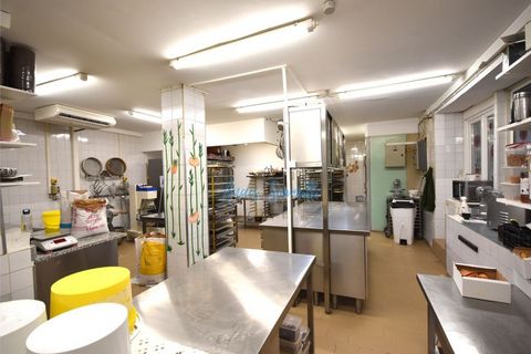 photo no. 2