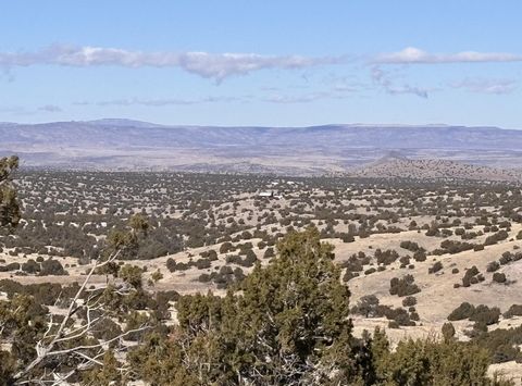 Beauty, peace, and views! This property offers so many possibilities. 360 views await you from this gently sloped property. Enjoy the Cibola National Forest and all nature has to offer. From Magdalena, Take Hwy 169 past Mile Marker 9. Turn right on F...