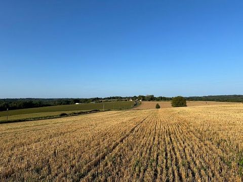 24270 PAYZAC CEREAL PROPERTY Chantal Jacquement offers you in the Périgord Vert a very beautiful cereal farm of 150 hectares (120.50 hectares owned and 29.40 hectares rented) only in 2 blocks separated by less than 1 km, flat or slightly hilly land, ...