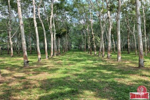 This 43 Rai (68,800 sqm) rubber and palm plantation for sale is surrounded by canals and mountain views. It is located in Thung Maphrao, Phang-nga. This land is unique in that it has cool breezes and a peaceful atmosphere in the midst of a friendly c...