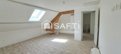 photo no. 6