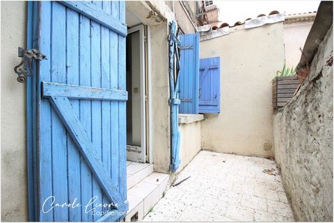 photo no. 2