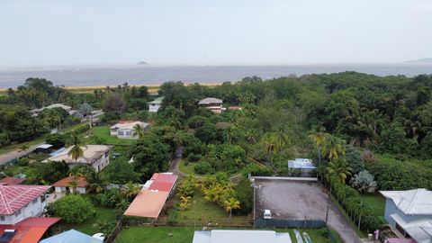 photo no. 10