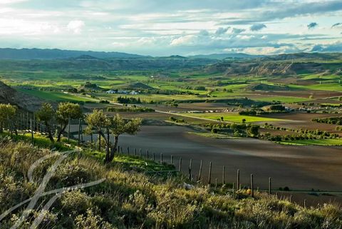 Cave avec sa propre AOC, située dans la région d'Alcarria à Cuenca, avec ses propres vignobles d'où proviennent tous ses vins d'excellente qualité, avec une capacité de production de cent mille bouteilles et positionnée sur le marché national et inte...