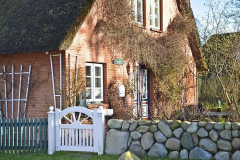 Cozy holiday apartment in a beautiful, thatched holiday home, just 3,500 meters from Wyk. The house is an ideal starting point for cycling tours and hikes to discover the island of Föhr. End the day in the garden and enjoy the peace and relaxation aw...