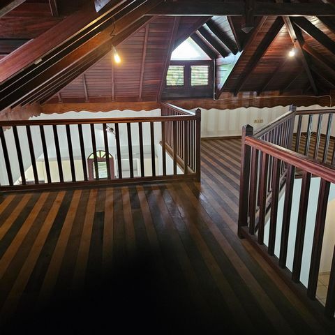 photo no. 8