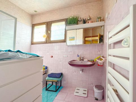 photo no. 11