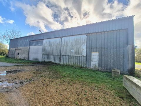 Hangar et parcelle de terrain agricole