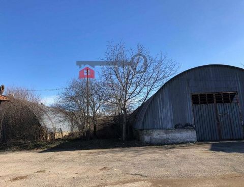 Titan Properties presents to your attention an industrial property that acted as a canning factory. There is an area of 12 decas, as well as 4 halls, a small office. The property has its own water source - 2 bunaras. It is suitable for both warehouse...