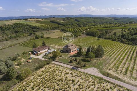 Just a few steps from the main communication routes you will find a wonderful landscape with beautiful views of olive groves, vineyards, farmhouses: a symbol of our beautiful Tuscany. It is precisely in this fairytale climate that the San Filippo Agr...