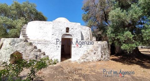 For sale is an interesting Saracen trullo with adjacent lamia to be renovated in the countryside of Carovigno, located a short distance from the sea and the town centre. The trullo is in excellent structural condition and consists of a central room, ...