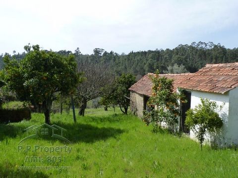 Stone cottage with a garden to renovate in Vila Facaia, Pedrogao Grande This cute cottage is located in the village of Vila Facaia, a bustling little village part of Pedrogao Grande, even though it is in a village, the location of the house feels sec...