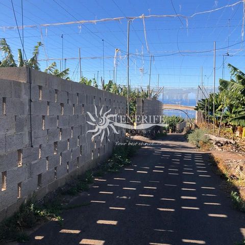 Dit land ligt aan Carretera General Piedra Hincada a Tejina, 38687, Piedra Hincada, Santa Cruz de Tenerife. Het is een land dat 40000 m2 heeft.