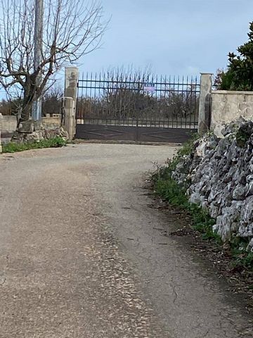 PUGLIA - MARTINA FRANCA - STATE ROAD 172 We offer for sale a rustic land located in the countryside of Martina Franca in the Contrada Votano, of arable land with trees (20 olive trees and various fruit trees) of approx. Approximately 7000 with blank....