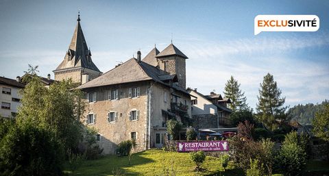 Découvrez le charme inégalé de la vie royale dans cet appartement somptueux, situé au cœur d'un château majestueux à Ugine, en Savoie. Ugine est située dans la région alpine de la Savoie, offrant une base idéale pour accéder à plusieurs stations de s...