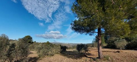 Kommen Sie und entdecken Sie dieses wunderschöne Olivenanbaugebiet mit einer Fläche von etwa vier Hektar in der Gemeinde Mouriès. Dieses Land ist der Ölförderung gewidmet, es genießt eine ideale Lage und einen herrlichen Blick auf die Alpilles. Auf d...