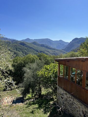 In Tournefort, 40 minutes from Nice, easily accessible by the national road 202 and then the road to the Tinée, this property on 1 hectare of land has been for 20 years a renowned wellness centre in the region, and therefore organised as a group cott...