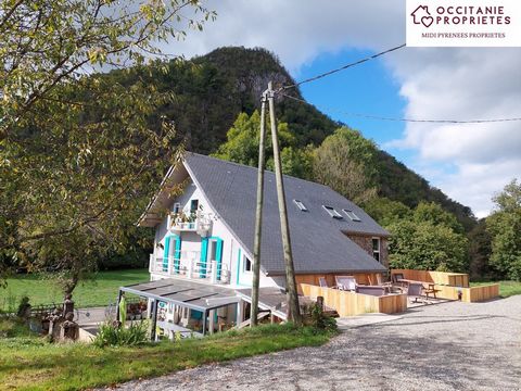 A beautiful B&B in the heart of the Ariège Pyrenees Regional Park, facing south with magnificent mountain views. Welcoming many cyclists and hikers, the commercial activity generates a significant turnover. Renovated with great taste, the whole prope...