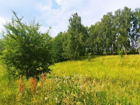 Участок в деревне. В 15 минутах езды от города Ясногорск. Рядом все необходимое: автобусная остановка, магазин. школа, клуб. Дороги ремонтируются, чистятся администрацией. В соседней деревне древний храм. Прекрасные грибные леса, каскад озер. Звоните...