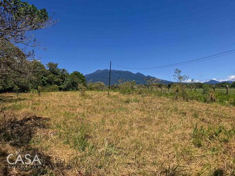 Located in the serene community of Villa Venus in Potrerillos, this 1805.53-square-meter property is set against the backdrop of majestic mountains and the tranquil flow of a nearby river. This parcel of land presents an inviting opportunity for thos...