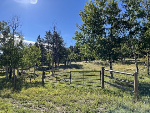 This scenic 10-acre property is the perfect site for that ideal Colorado mountain home, or for the ultimate weekend camping location.Easily reached on well-maintained county roads (plus about a half-mile of private road), the property features pines,...
