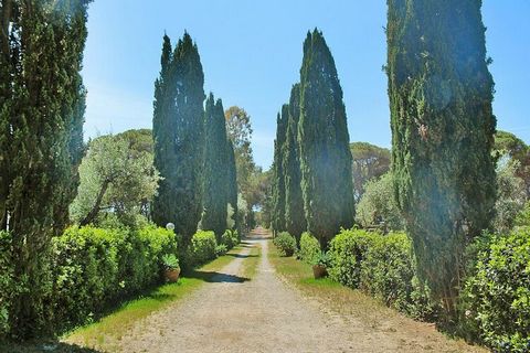 Former country estate with apartments just 900 meters from the sea. After a 5-10 minute walk through the green pine forest you will reach the gently sloping sandy beaches that stretch picturesquely along the coast. The estate is made up of several bu...