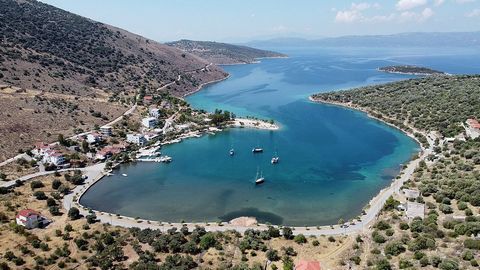 A unique plot of land in the enchanting Porto Buffalo of Evia. It is a very quiet fishing village overlooking the Evia, 2 hours from Athens. The plot is 1250 sq.m. slightly sloping with a panoramic unobstructed view of the Euboea. It is located right...